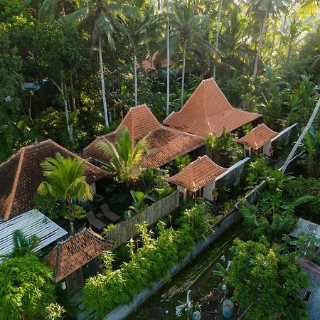 Jaya Villa Убуд Екстериор снимка