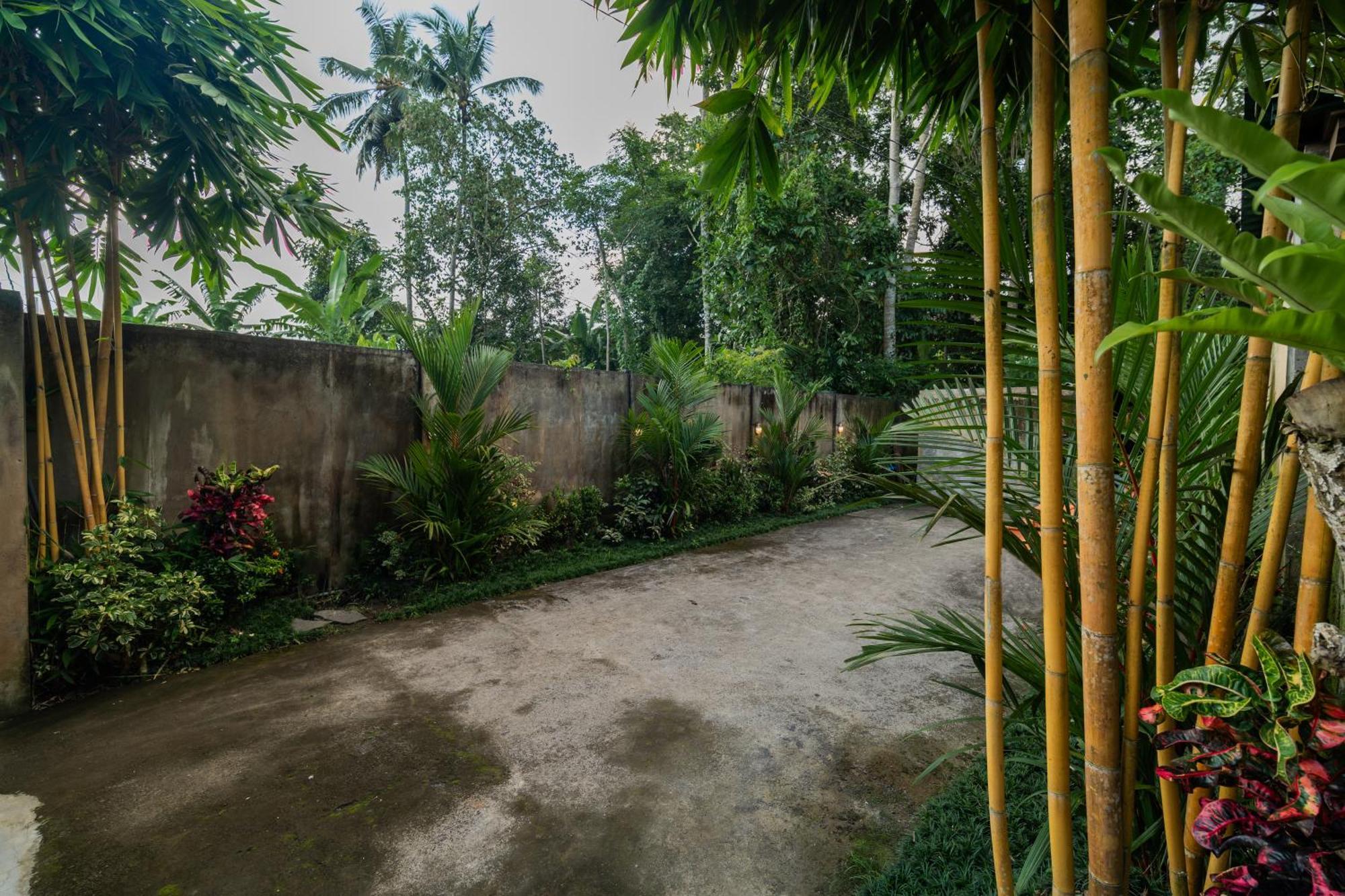 Jaya Villa Убуд Екстериор снимка