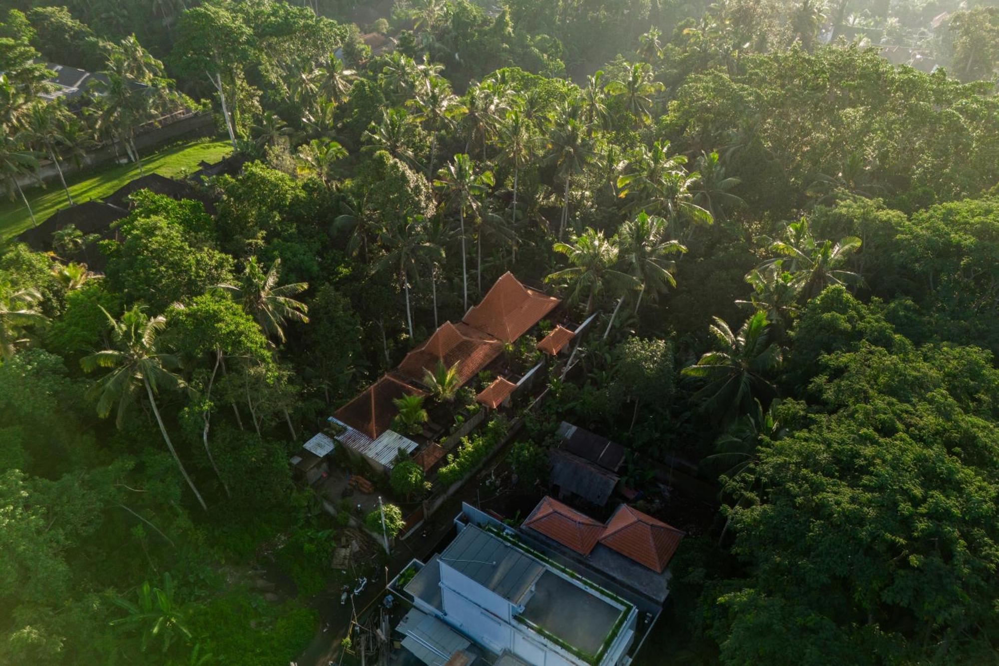 Jaya Villa Убуд Екстериор снимка